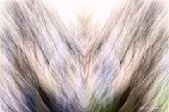 Abstract