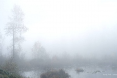Fog over Lake