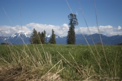 Chilliwack Fields and Mt. Cheam