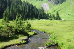Meadow and Stream