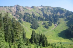 Mt. Cheam meadows