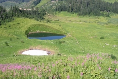 Mt. Cheam meadows