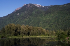 Mt. Cheam from Cheam Lake Wetlands