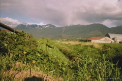 Mt. Cheam and field in spring