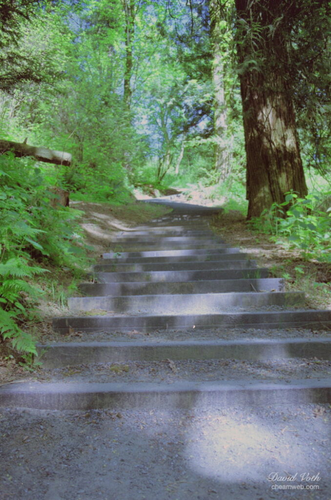 Photo of stairs along Little Mtn trail in Chilliwack