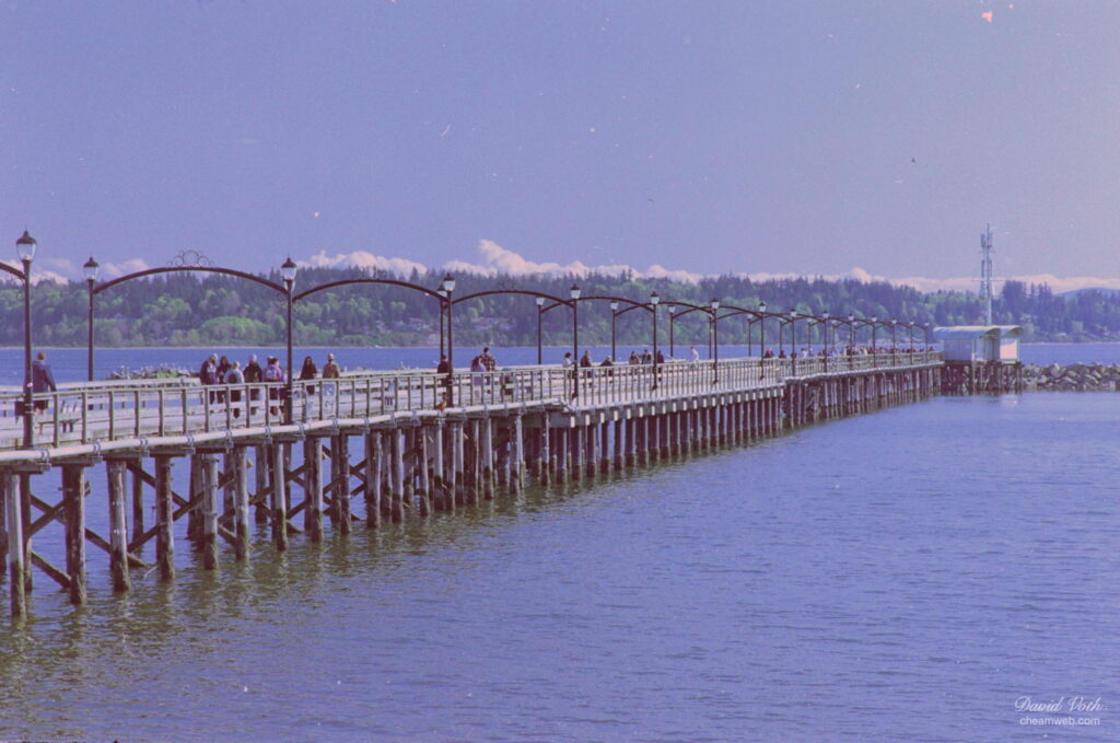 Photo of the White Rock Pier