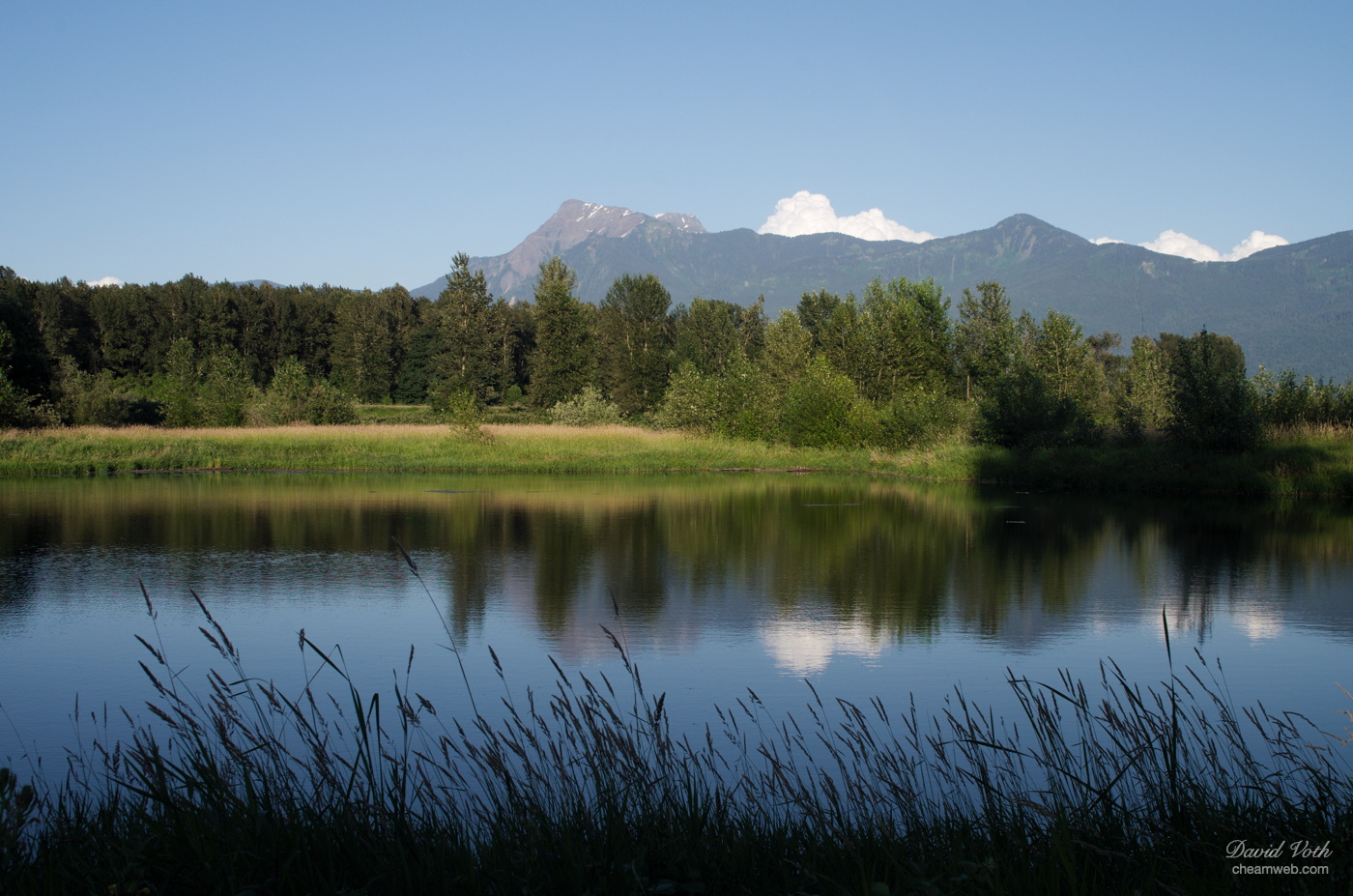 Photo of Mt. Cheam with trees and water in foreground